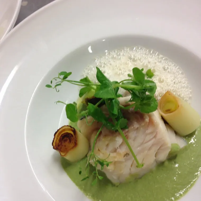 Assiette AWASE